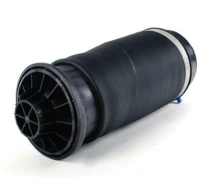 Mercedes-Benz Rear Right Air Suspension Strut – A1663200325